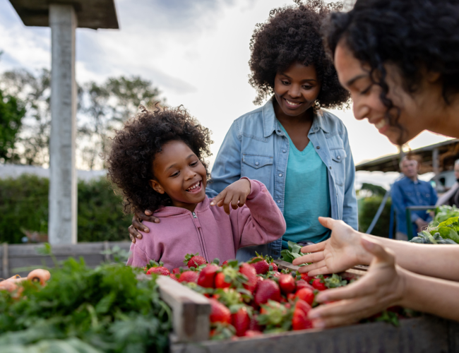 Farmers’ Markets