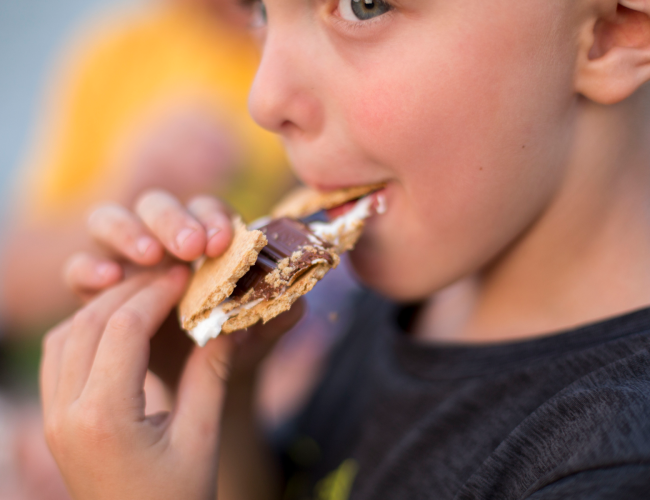 Campfire S’mores