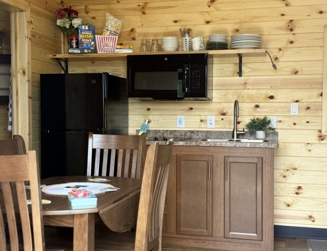 2025 Forest River Allegany 28S