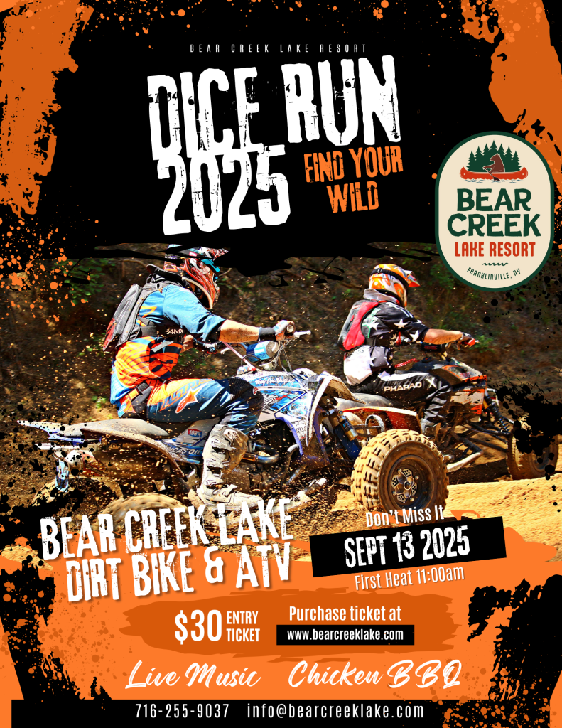 Dice Run 2025 poster